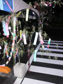 美晴のHAPPY SMILE-2009070720030000.jpg