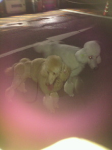 美晴のHAPPY SMILE-P1001084.JPG