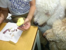 美晴のHAPPY SMILE-DSC_0572.jpg